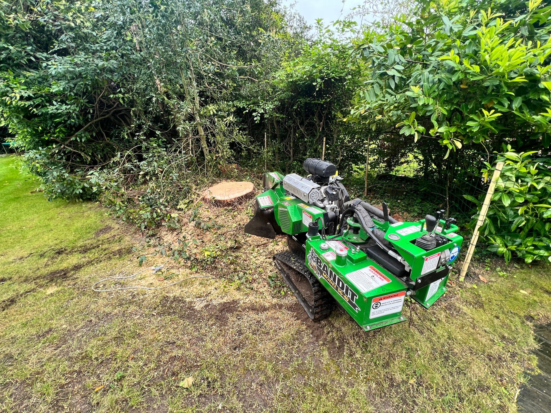 Green stump grinder next to a freshly cut tree stump in a lush garden area.